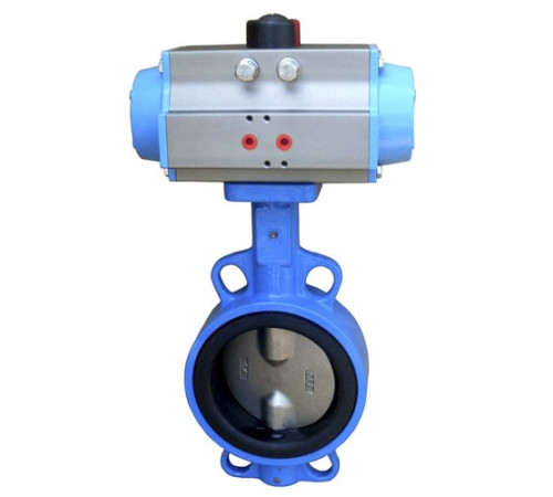 Затворы дисковые с пневмоприводом в Мозыре для предприятий