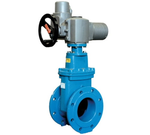 Задвижки стальные с электроприводом в Мозыре для юридических лиц